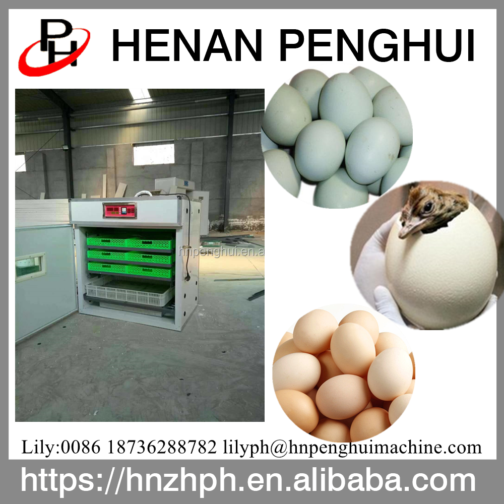 Hot Selling 500 Chicken Eggs Hatching Machine Commercial Incubator Fully Automatic