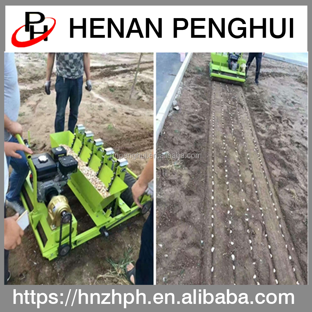 Good Sale Modern Automatic 6 Row onion Seed Planting Machine