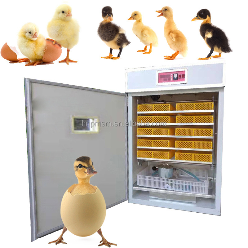 Professional Solar Energy Egg Incubator Wholesale Price 3000 Eggs Automatic Incubator 5000 Egg Capacity Incubator