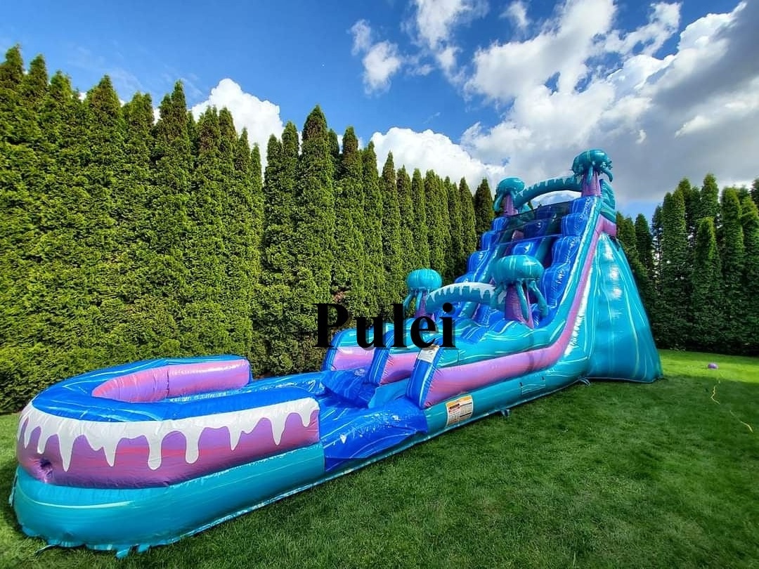 24ft Wild Thing Slide With Pool Kids N Adults Inflatable Swimming Pool With Slide Commercial Jungle Inflatable Water Park Slide