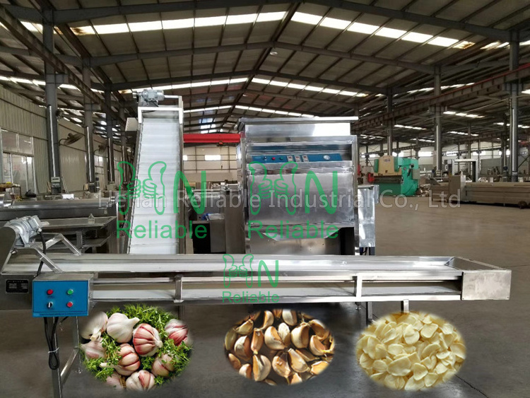 Garlic factory processing line industrial garlic production working machines Garlic deep processing equipment commercial