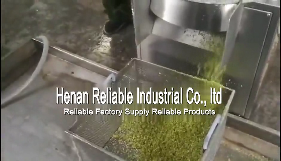 Cucumber pelletizing machine Big cabbage continuous cutting pellet machine Multi-purpose vegetable chopper