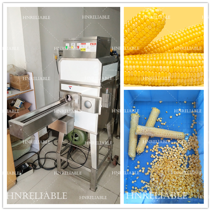 Automatic commercial used sweet corn cutter machine  / automatic  corn cob kernel remover / sweet corn cutting machine