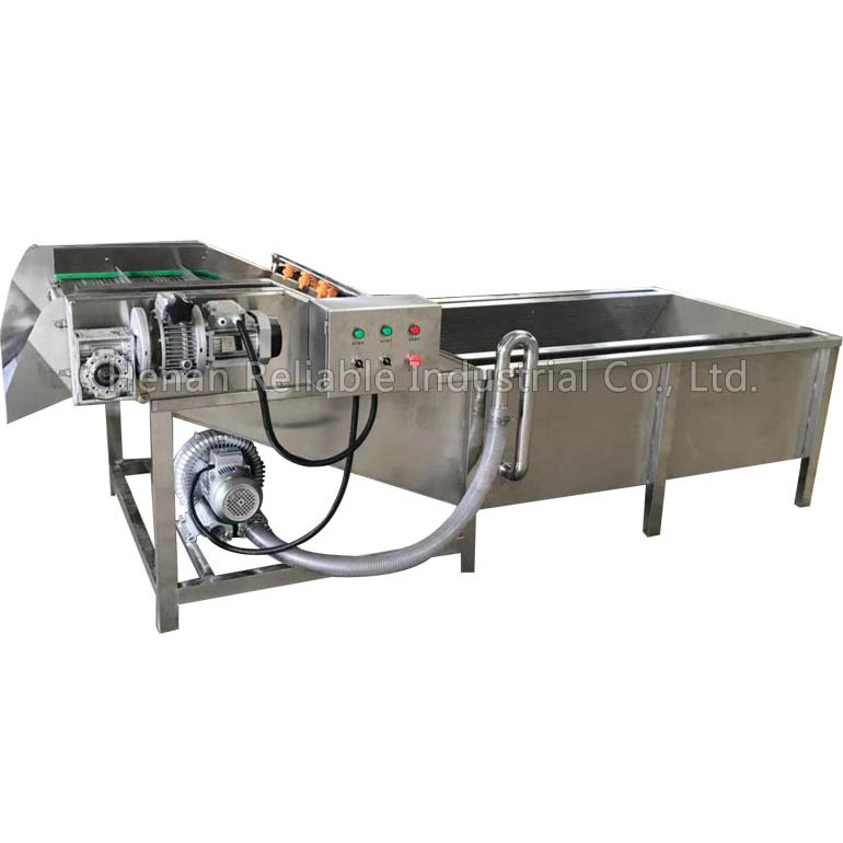 best price food processing machinery sea cucumber washing machine mango processing machine