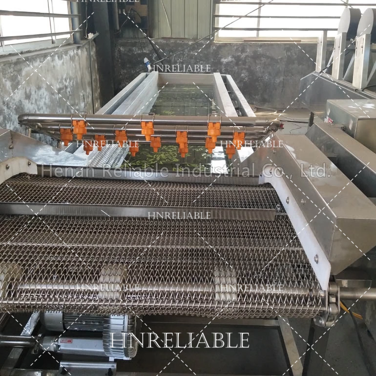 air bubble washing machine used for vegetable fruit cleaning  lime chicken washing cleaning machine frozen food machine