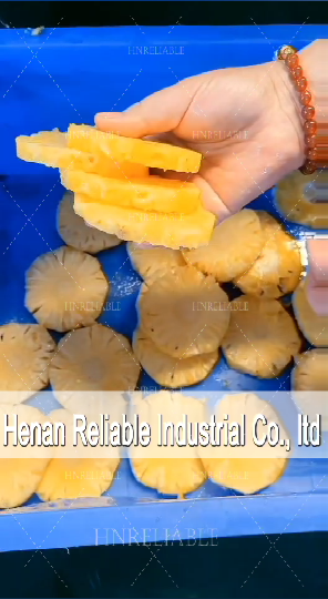 Industrial round chips vegetable fruit slicer pineapple onion rings slice cutting machine plantain flakes machine potato chips