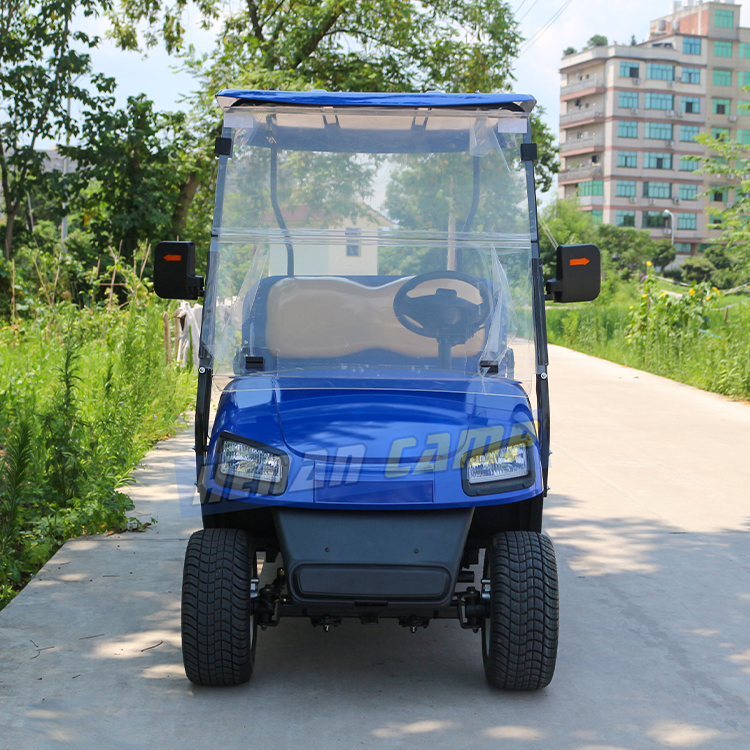 electric utility vehicle golf cart mini 2 seater golf cart with cargo bed