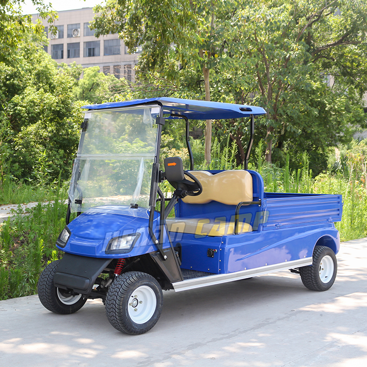 electric utility vehicle golf cart mini 2 seater golf cart with cargo bed