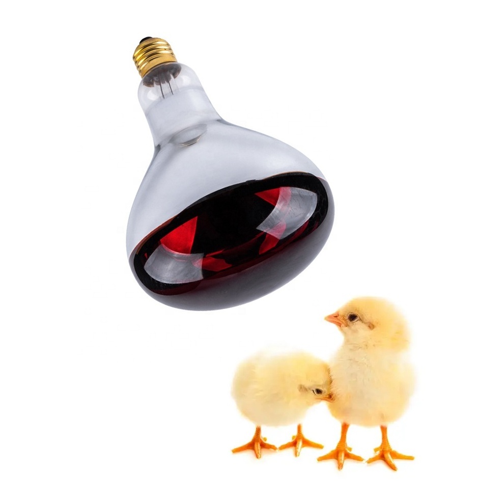 Made in China Dark red glow soft warm white Infrared heating bulb CE ETL breeding heat Chicken lamp for poultry farms