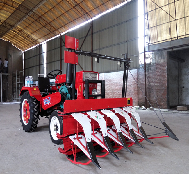 Hot selling Soya dry green small bean harvester for sale