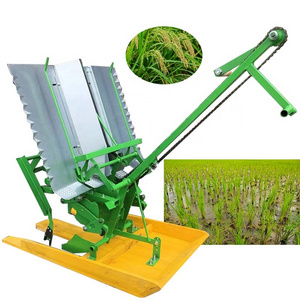 philippine rice transplanter for sale with price paddy rice planting machine