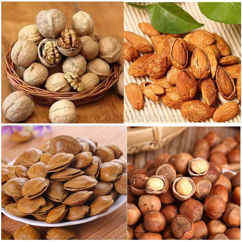 Automation Hazelnut Cracker Machine Walnut Breaker Blasting Equipment Walnuts in Shell