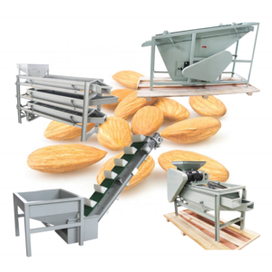 Automation Hazelnut Cracker Machine Walnut Breaker Blasting Equipment Walnuts in Shell