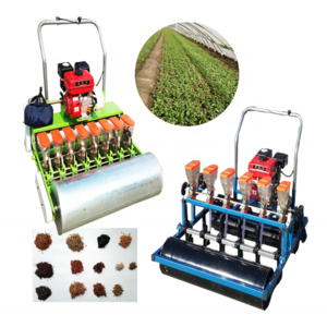 Onion Seed Planter Machine Vegetables Seeds for Plantings