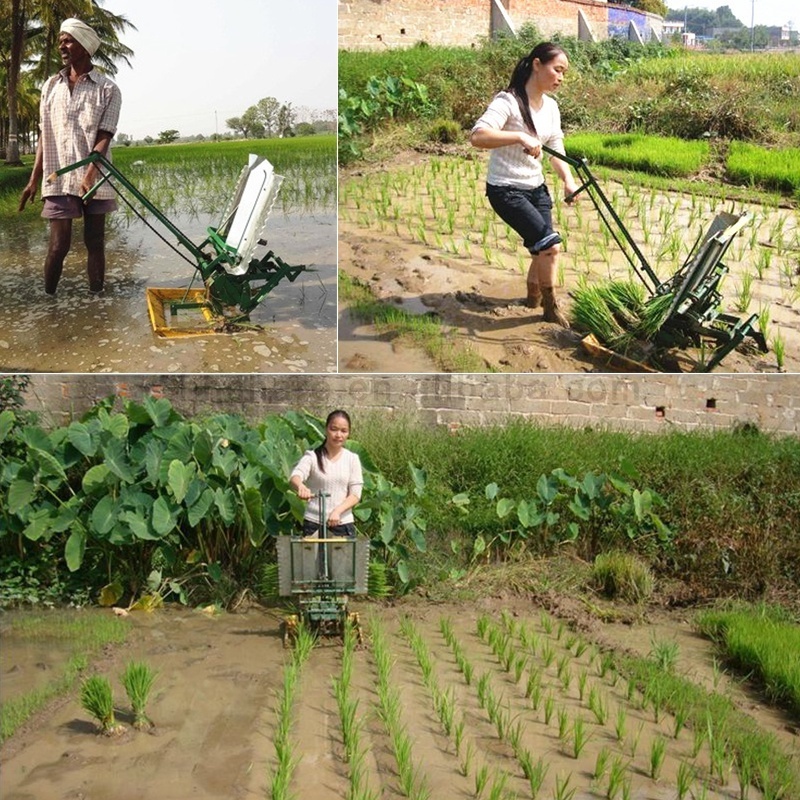 philippine rice transplanter for sale with price paddy rice planting machine