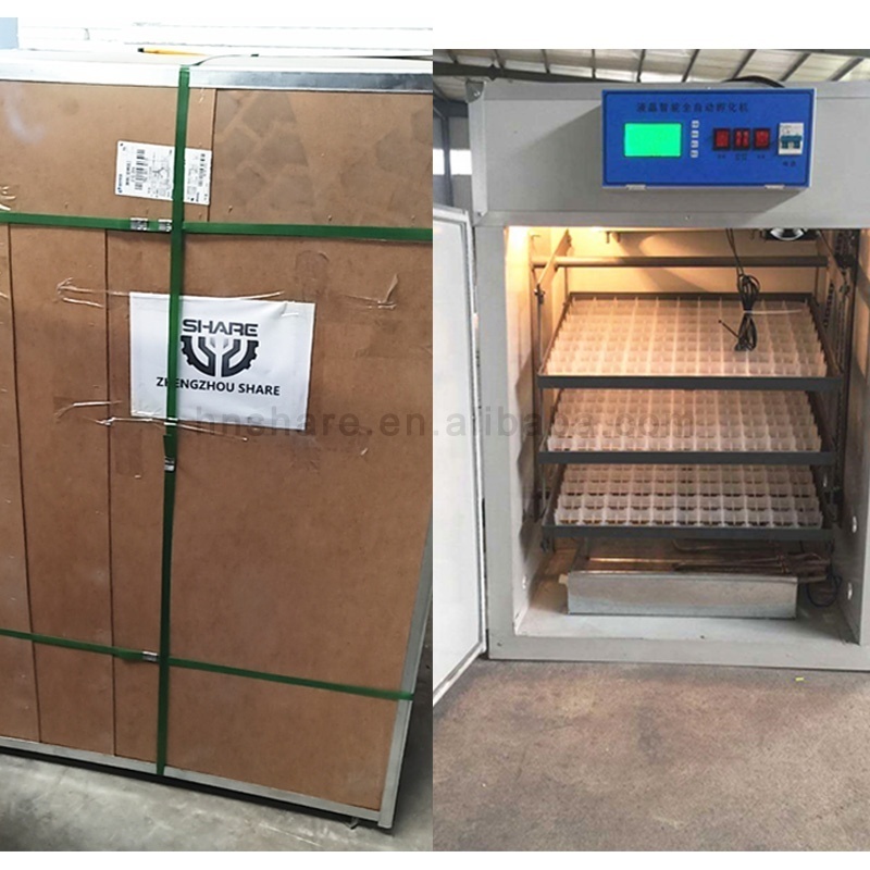 Widely Used 1000 Solar Egg Incubator for Sale in Ghana