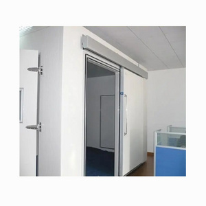 Manufacturers Direct Cold Storage Special Translation Door Flame Retardant Insulation, Polyurethane Door Steel Industrial Manual