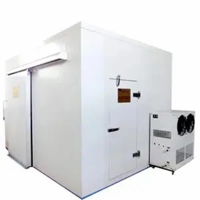 Commercial Blast Freezer Container Provided mini Cold Storage Cool Room 50 Tons