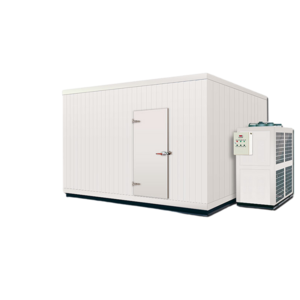 Support customization Professional Low Temperature Industrial Freezer Room Cold Storage