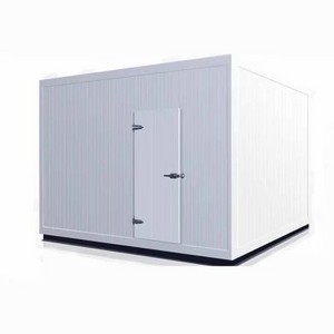 Commercial Blast Freezer Container Provided mini Cold Storage Cool Room 50 Tons