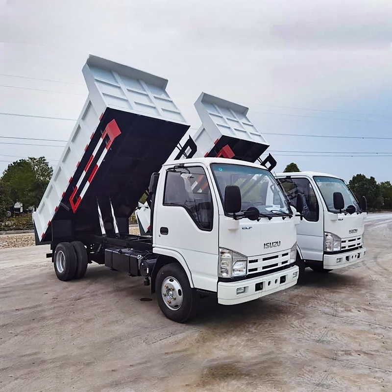 2024 Cheap Price ISUZU Small Dump Truck 4x2 4x4 10ton Mini Light Cargo Isuzu Truck