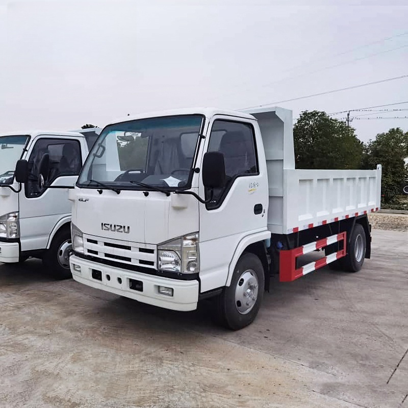 2024 Cheap Price ISUZU Small Dump Truck 4x2 4x4 10ton Mini Light Cargo Isuzu Truck