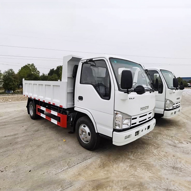 2024 Cheap Price ISUZU Small Dump Truck 4x2 4x4 10ton Mini Light Cargo Isuzu Truck