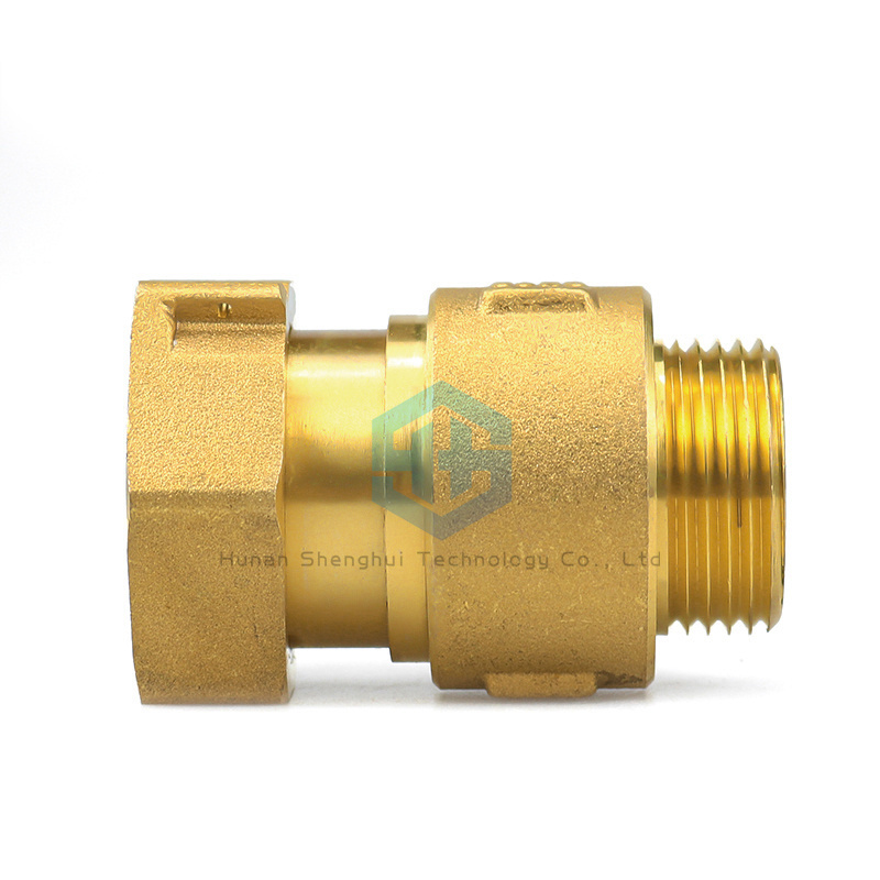 DN15 DN20 DN25 OEM ODM Brass Table Front Check Valve Swing Spring Check Foot Valve