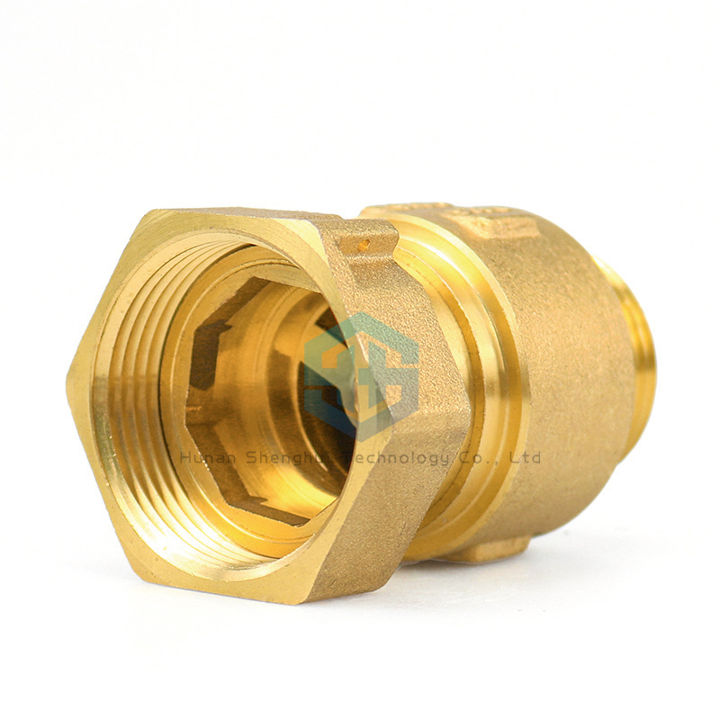 DN15 DN20 DN25 OEM ODM Brass Table Front Check Valve Swing Spring Check Foot Valve