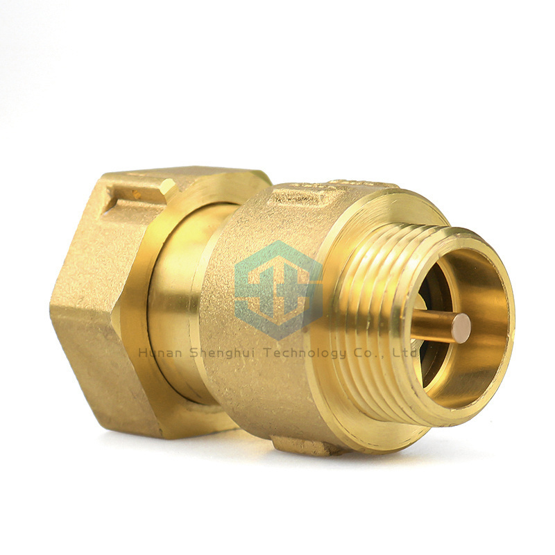 DN15 DN20 DN25 OEM ODM Brass Table Front Check Valve Swing Spring Check Foot Valve