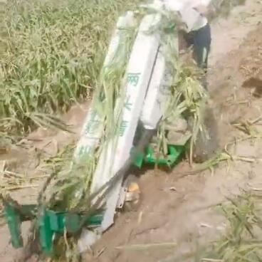 2020 Automatic Self-discharging sweet potato combine harvester / single row Garlic carrots Harvester