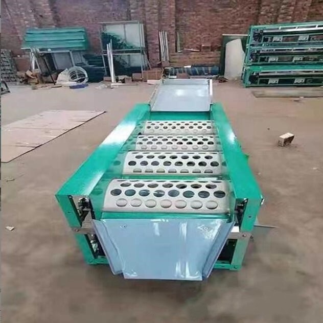 Industrial Orange Mango Apple Avocado Fresh Lemon Citrus Fruit Grading Sorter Washing Sorting Machine