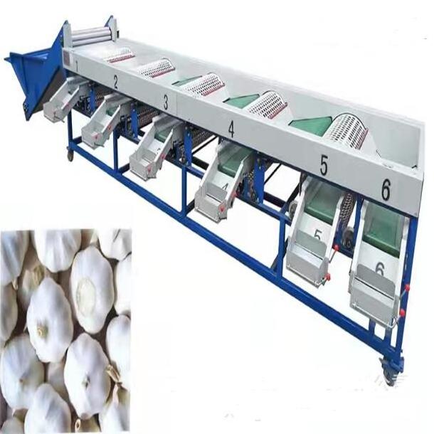 Industrial Orange Mango Apple Avocado Fresh Lemon Citrus Fruit Grading Sorter Washing Sorting Machine