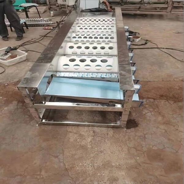 Industrial Orange Mango Apple Avocado Fresh Lemon Citrus Fruit Grading Sorter Washing Sorting Machine