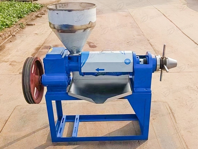 Good quality 150kg/h coconut olive cold cooking oil making oil press machine kenya