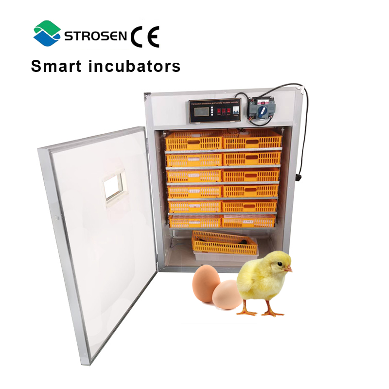 ostrich hatching eggs incubator solar automatic chicken parrot egg incubator