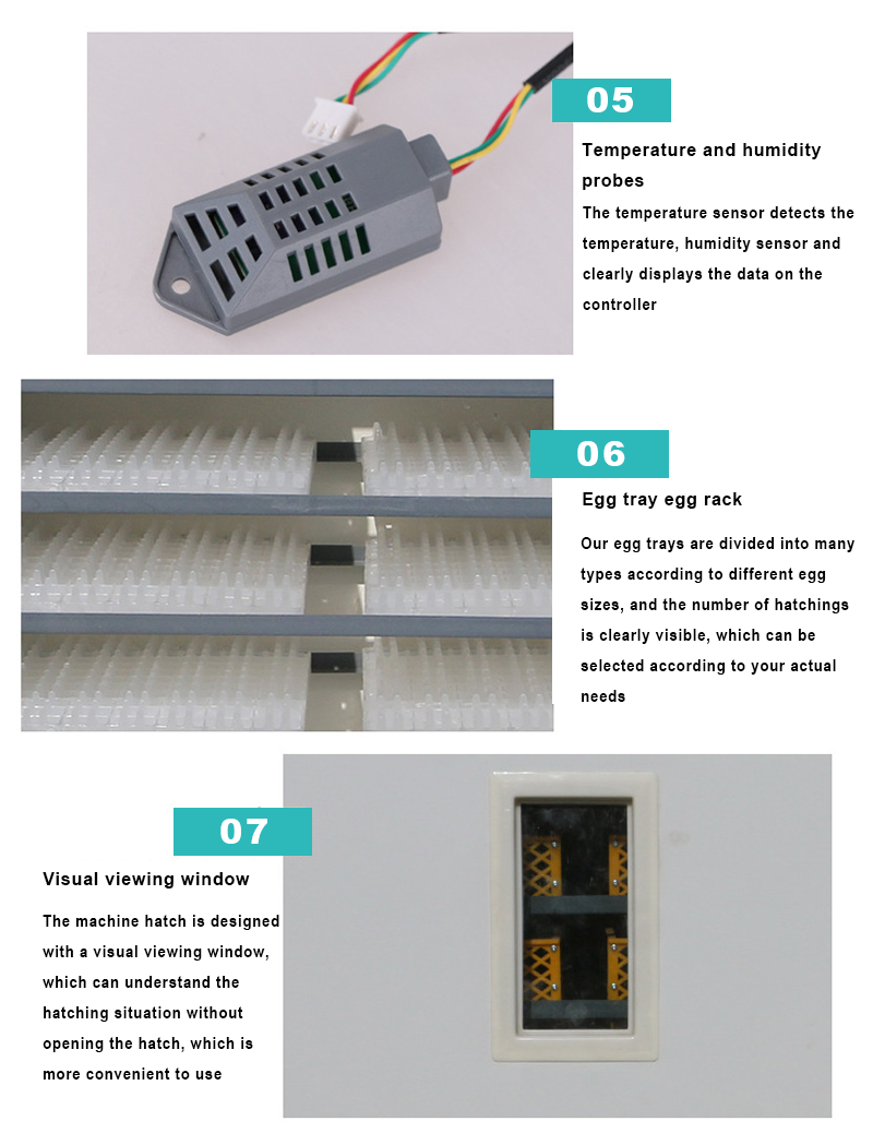 ostrich hatching eggs incubator solar automatic chicken parrot egg incubator