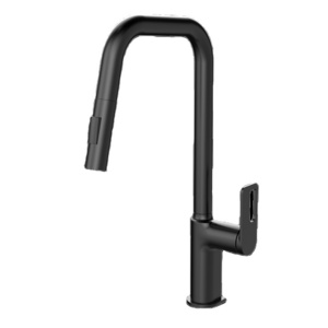 Modern Design 304 Stainless Steel Flexible Hose for Kitchen Faucet Hot and Cold Water Black Pull out Spout on Sale