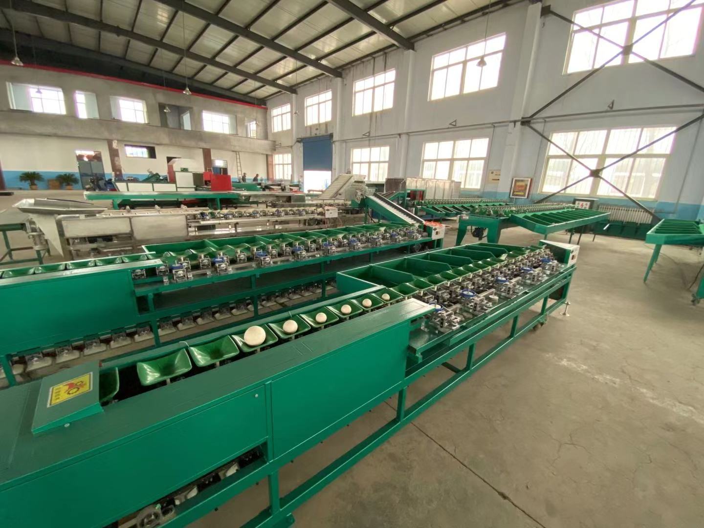 6 grades fruit avocado grading raspberry dates sorting tomato washing and sorting grading machine