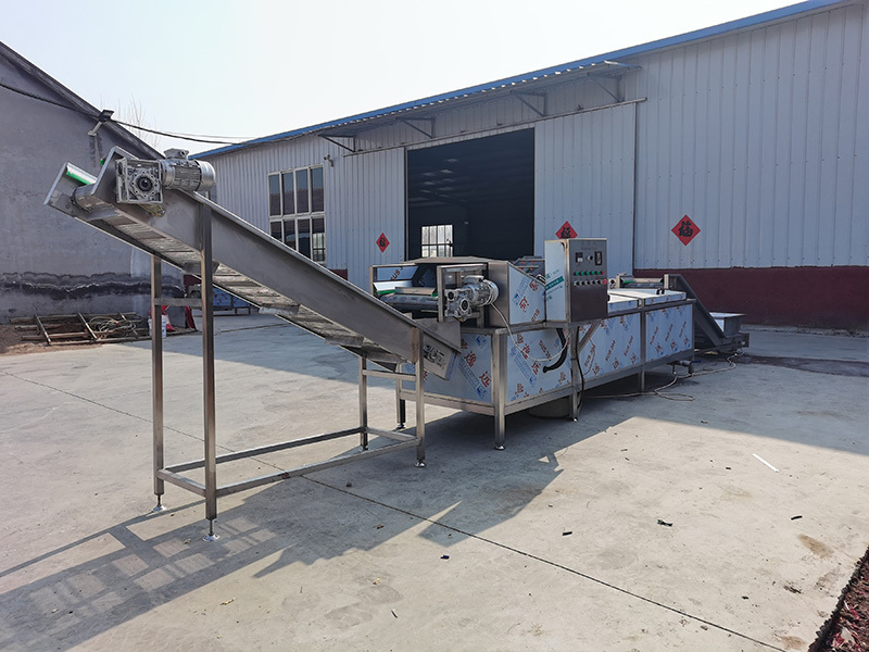 Blanching machine tomato blanching almond machine industrial blanching machine