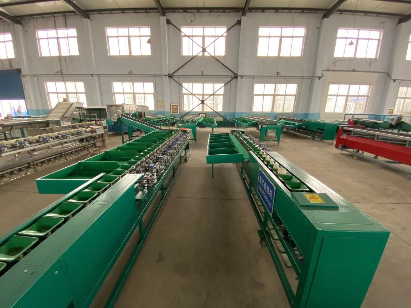 6 grades fruit avocado grading raspberry dates sorting tomato washing and sorting grading machine