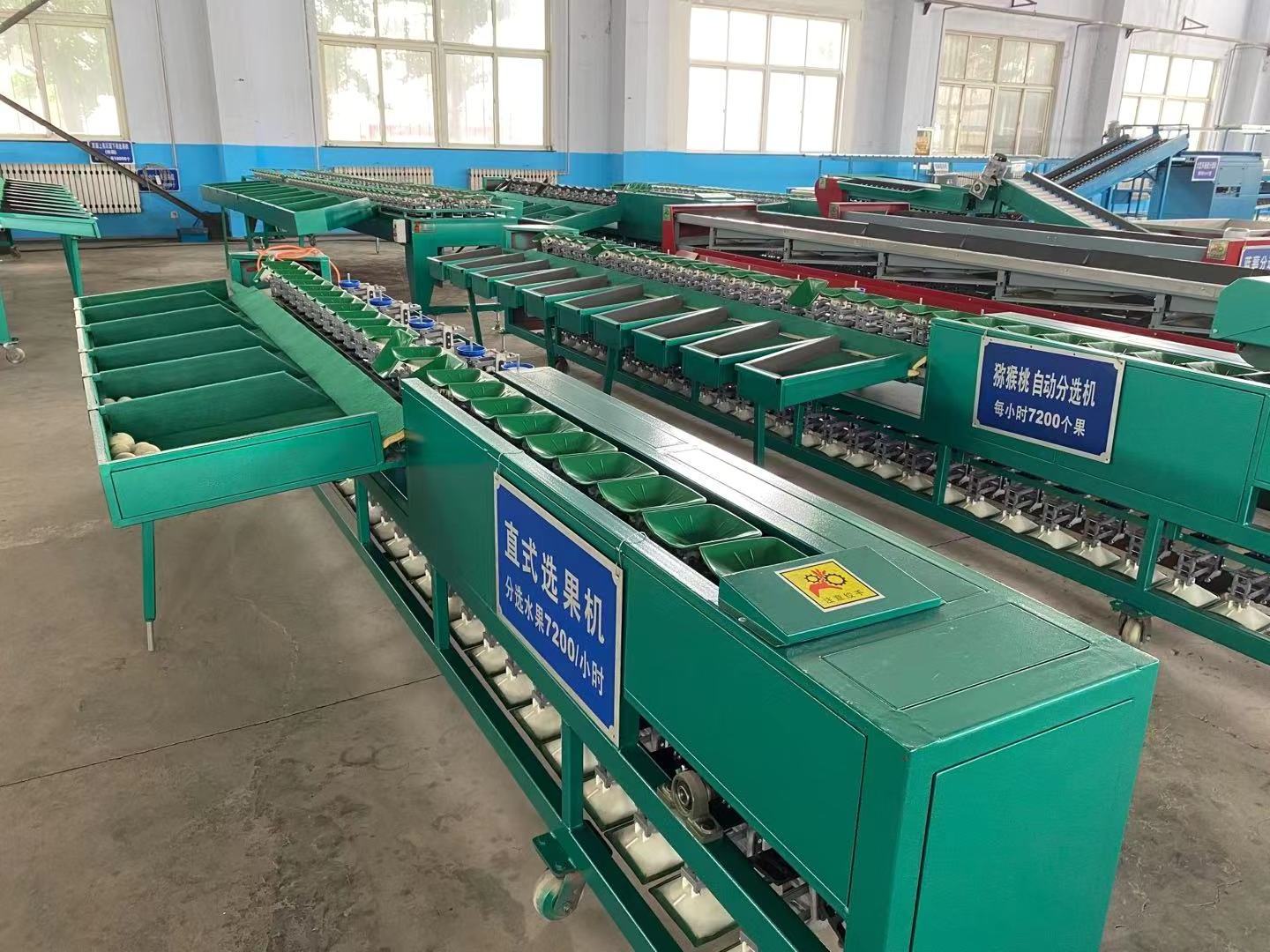 6 grades fruit avocado grading raspberry dates sorting tomato washing and sorting grading machine