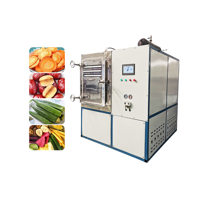 Fruit Drying Machine Dehydrator Fruit Freeze Dryer Price Portable Freeze Dryer