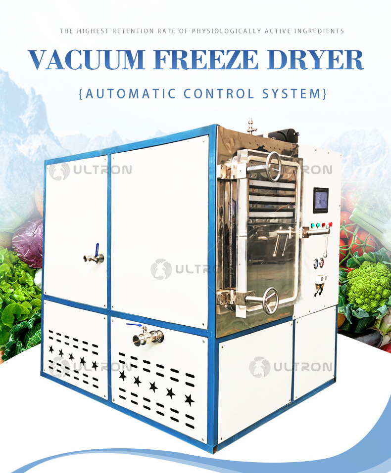 Fruit Drying Machine Dehydrator Fruit Freeze Dryer Price Portable Freeze Dryer