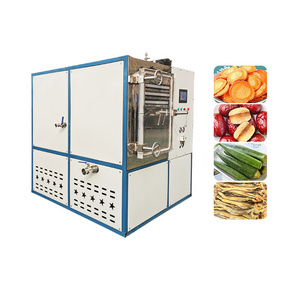 Fruit Drying Machine Dehydrator Fruit Freeze Dryer Price Portable Freeze Dryer