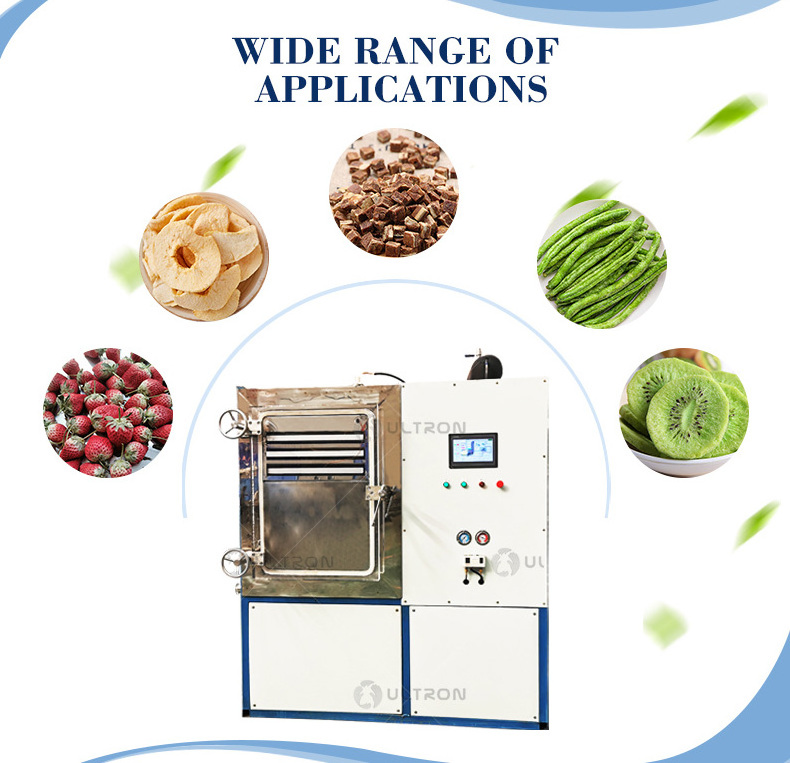 Fruit Drying Machine Dehydrator Fruit Freeze Dryer Price Portable Freeze Dryer