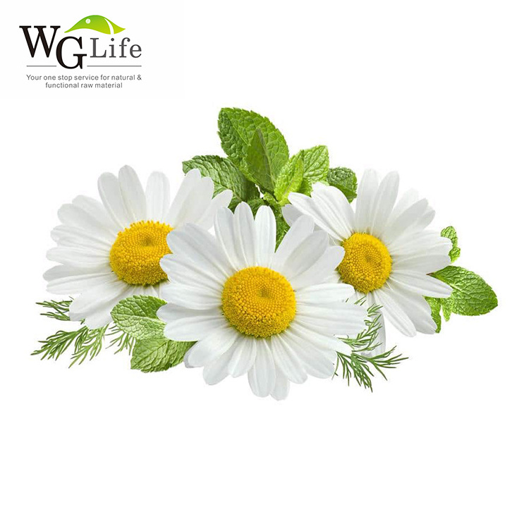 Pure Natural apigenin flavonoids chamomile extract Plant Extract