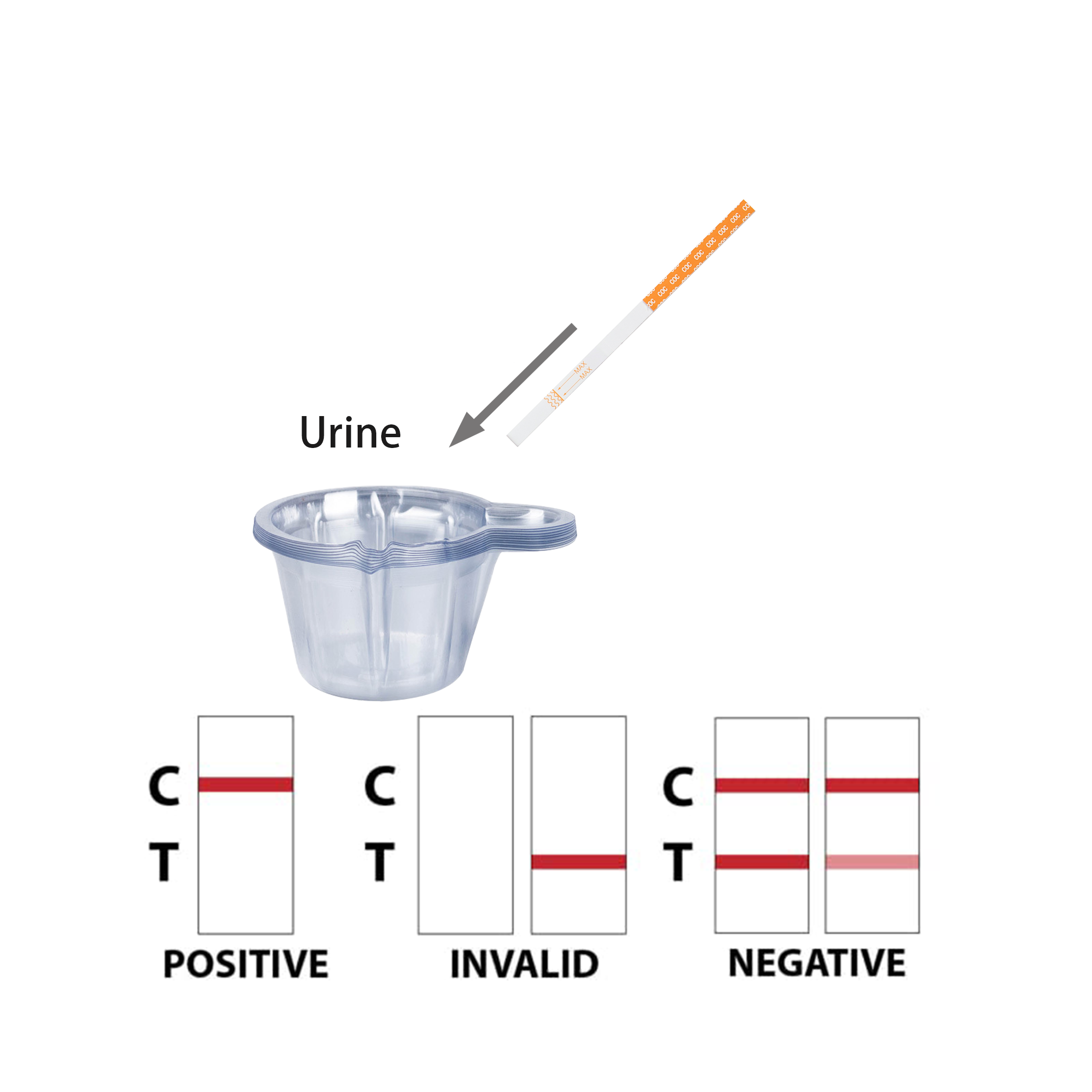 Drug Of Abuse Tests Rapid Tests Thc Amp Coc Multi Drug Test