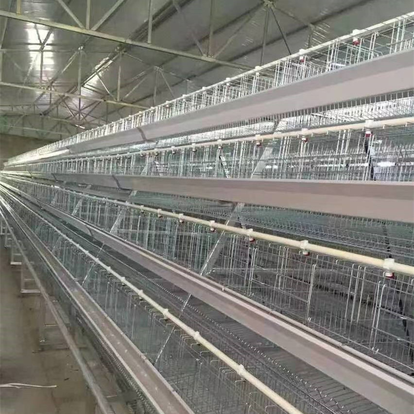 A type Galvanized Welded Wire Mesh Egg Layer Chicken Battery cage Used For Hens Poultry Farm