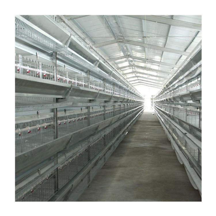 Poultry Equipment Suppliers Good Price Complete Layer Chicken Raising System